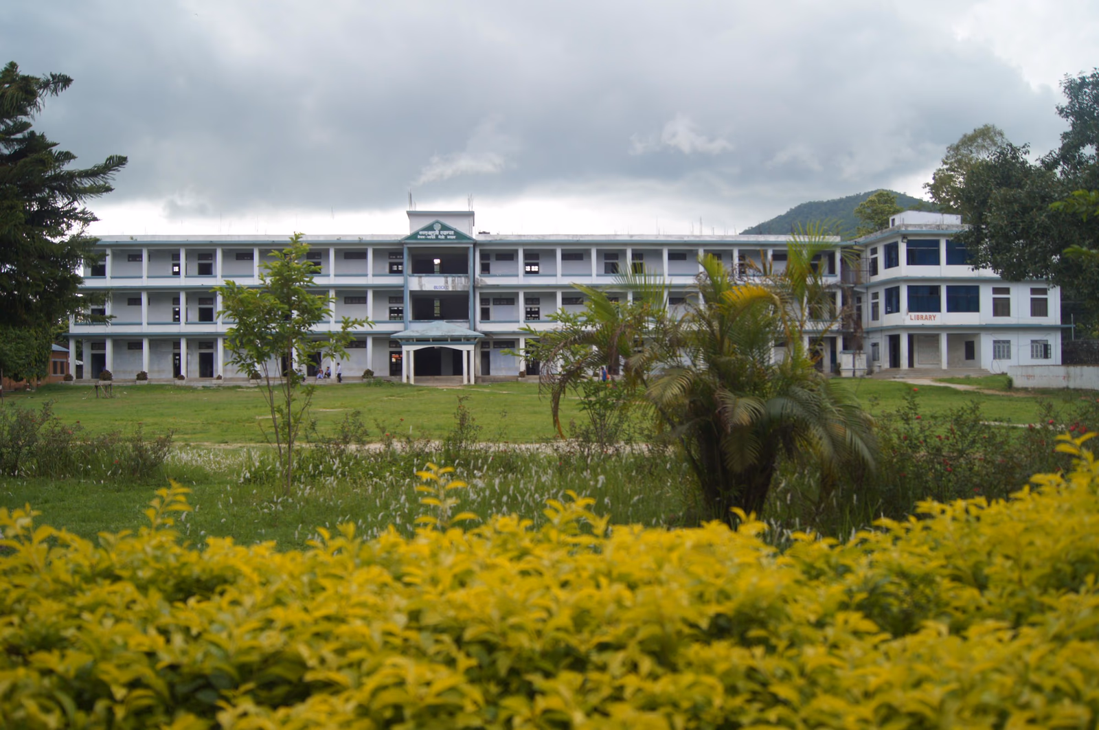 Makwanpur Multiple Campus