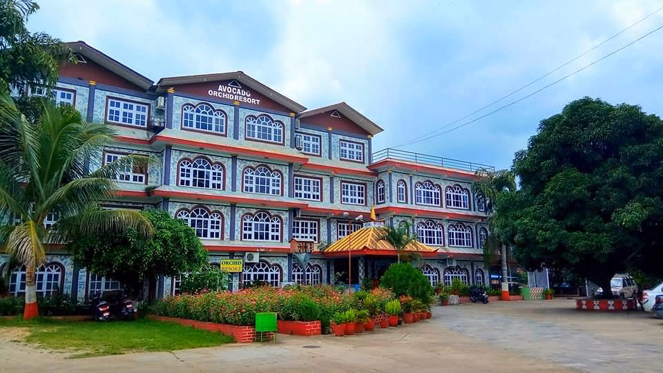Avocado & Orchid Resort